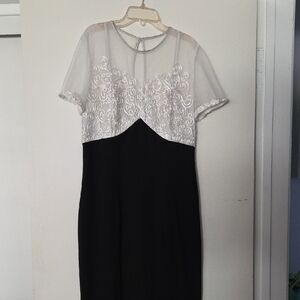 Maggy London Black and White Lace Midi  Elegant & Romantic  Fitted Dress.